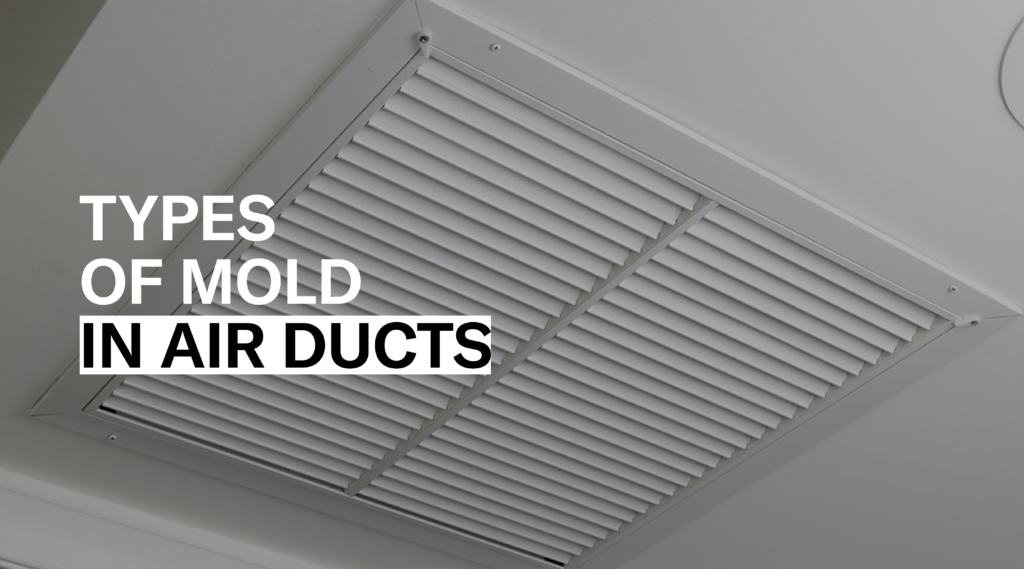 Types of mold in air ducts