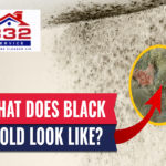 what does black mold look like