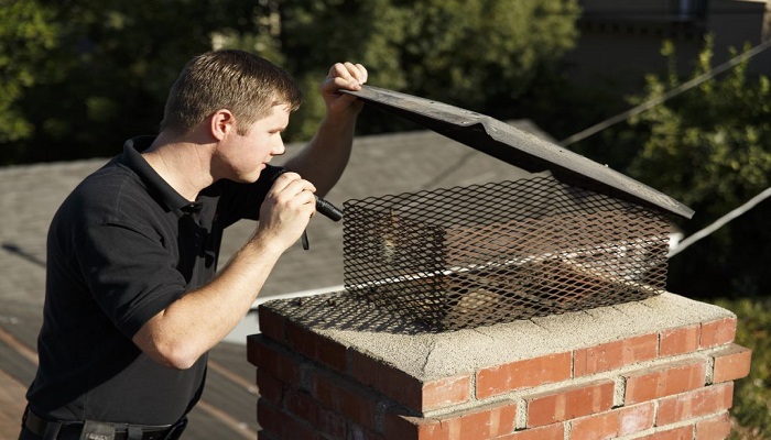 Chimney Inspection