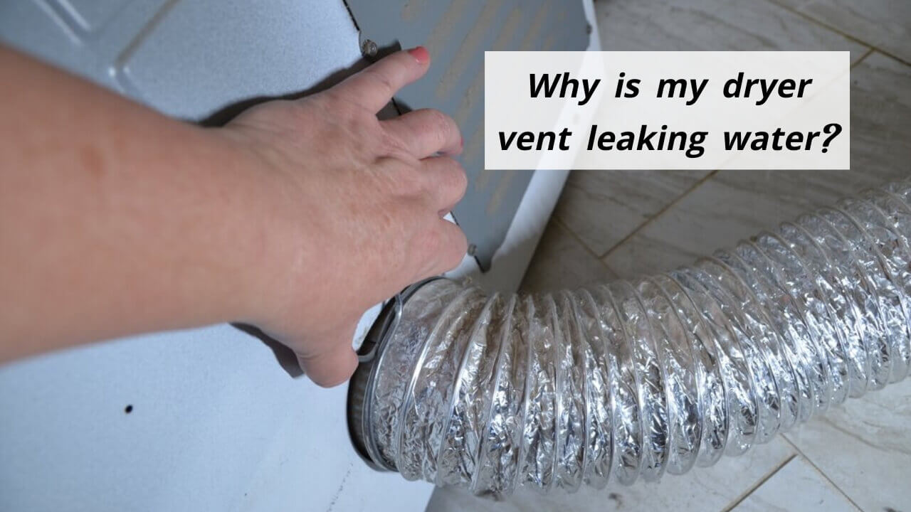 why is my dryer vent leaking water