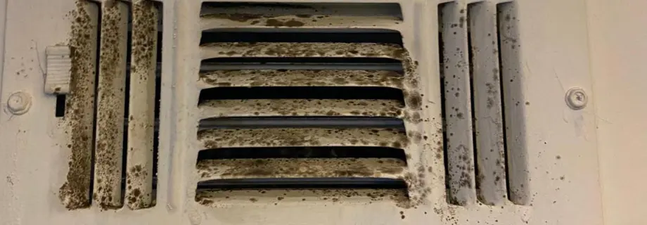 dirty air duct that smells like sewage