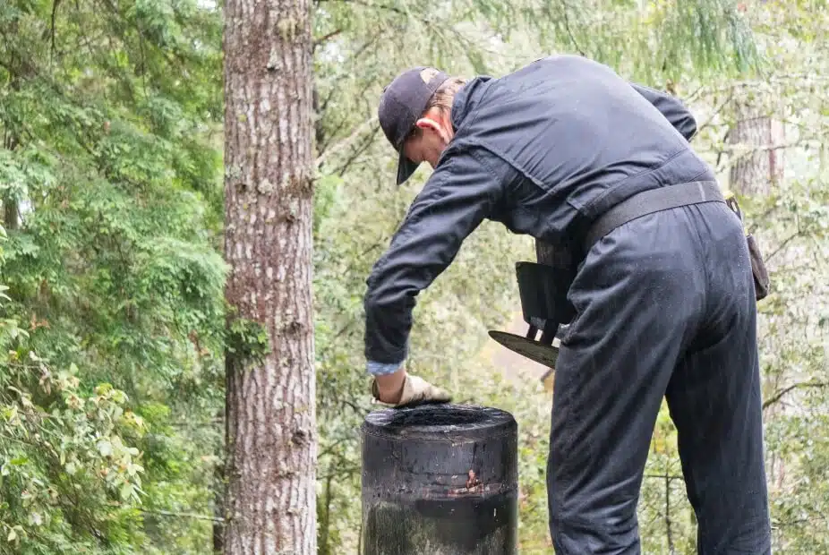 chimney inspection and cleaning services